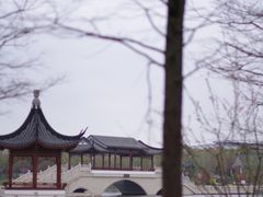 -滴水湖
