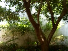 -乌镇东栅景区-茅盾故居