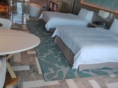 -亚特兰蒂斯-番红花海鲜自助餐厅·鲜活海鲜·小火锅