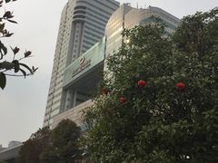 -湖南广播电视台娱乐频道