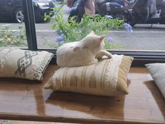 -B.O.M波姆烘焙(凤凰街店)