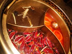 -小龙坎老火锅(北京三里屯店)