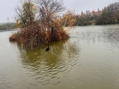 -南师大仙林校区东区食堂