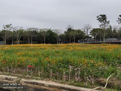 -海珠湖公园