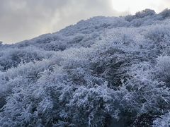 -太子岭滑雪场