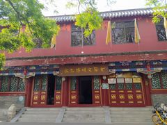 -古陶文明博物馆
