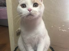 -沐沐家宠物(成寿寺店)