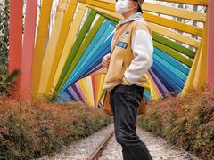 -合肥滨湖国家森林公园