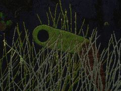 -金泽21世纪美术馆