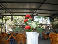 -三圣花乡旅游区