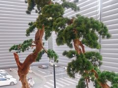 -百富源·海鲜辽菜(和平北大街店)