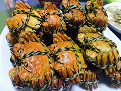 -乡乐园蟹庄·阳澄湖农家乐