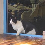 仿佛回到泰兰德海边小馆