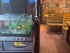 -老五烧烤(石牌岭店)