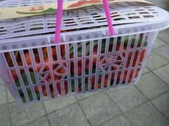 -阿斯牛牛·凉山菜(新会展店)