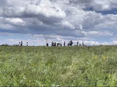 -白草畔自然风景区