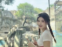 -灵玲国际马戏城