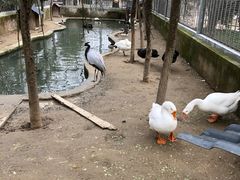 -水绘园