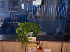 -吕记老鸭汤·徽菜馆(东营路店)