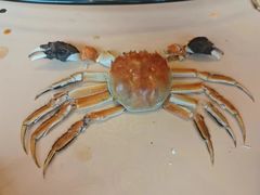 -七的湖·江南蟹舫·阳澄湖农家菜(蟹舫苑店)