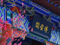 -梅花山(明孝陵内)