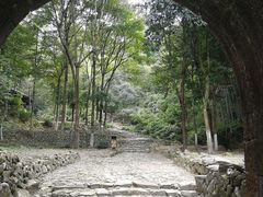 -仙霞关景区
