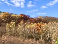 -塞罕坝国家级自然保护区