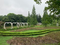 -昆山城市生态森林公园