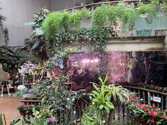 -正佳雨林生态植物园