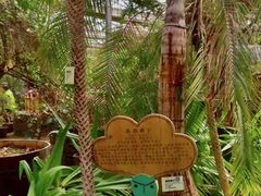-呀路古热带植物园
