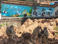 -昆明动物园
