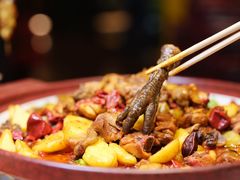 -巴依老爷新疆美食(常营店)