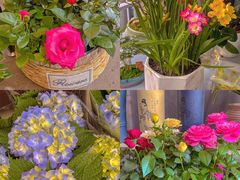 -金陵花卉交易市场