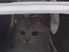 -贝康宠物医院·犬猫全科·小动物特色诊疗中心(东环路店)