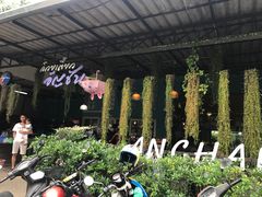-蝶豆花蓝面条
