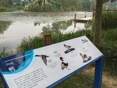 -白鹭湾湿地公园