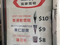 -富豪雪糕车流动点(尖沙咀店)
