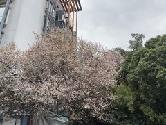 -天天足道(紫荆店)