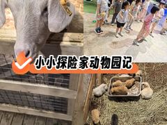 -上海苏航生活广场