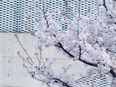 -龙美术馆(西岸馆)