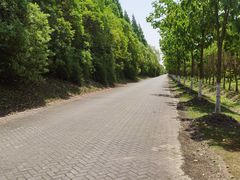 -上海海湾国家森林公园