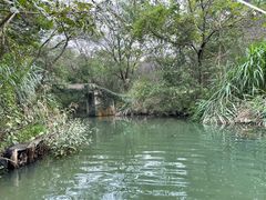 -西溪国家湿地公园