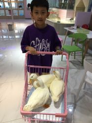 -Moni星球萌宠·小马宝莉·灵蛇·高端高阶全萌宠互动体验俱乐部(红豆国际广场店)