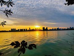 -艾溪湖湿地公园