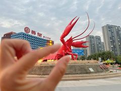 -虾皇(龙虾城旗舰店)