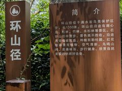 -滴水岩森林公园