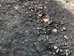 -广州七星岗古海岸遗址科学公园