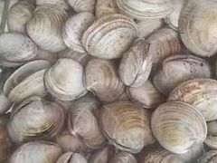 -蓝珊甄选海鲜自助·火锅大排档(近阿那亚店)