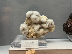 -湖南省地质博物馆