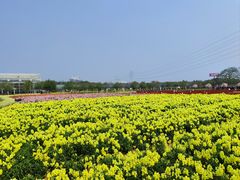 -盈香心动乐园